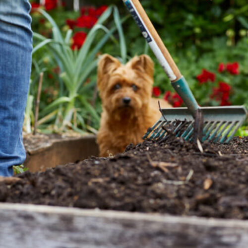 Clever ways to use compost Compost