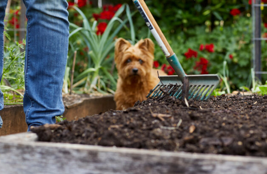 Compost