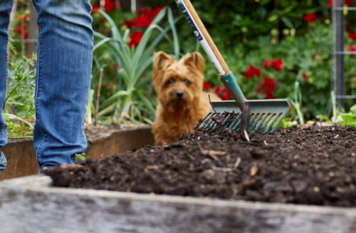 compost