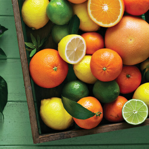 Summer citrus care essentials Citrus summer care