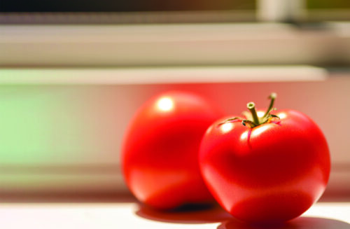 tomatoes