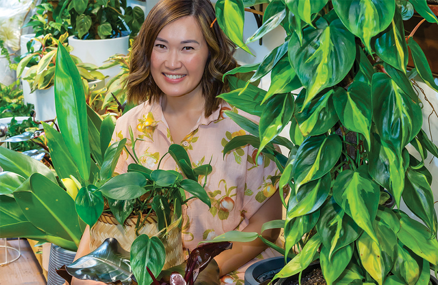 Philodendrons