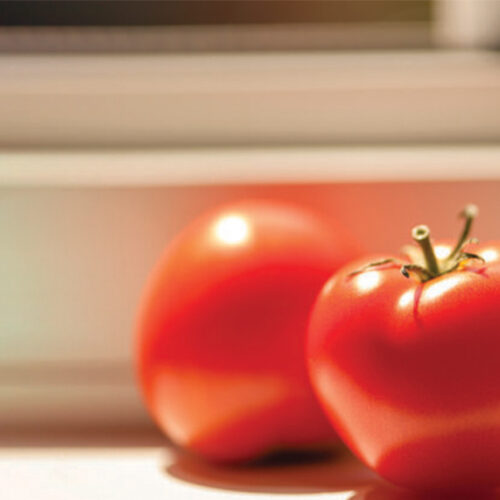 Does fruit need sunlight to ripen? Tomatoes