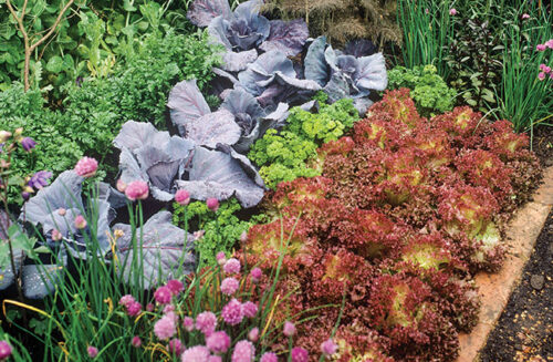 Gardening Australia April 2023