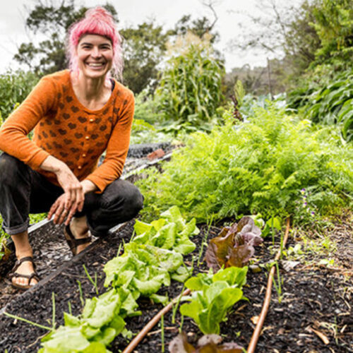 Growing garlic & interplanting tips Growing garlic