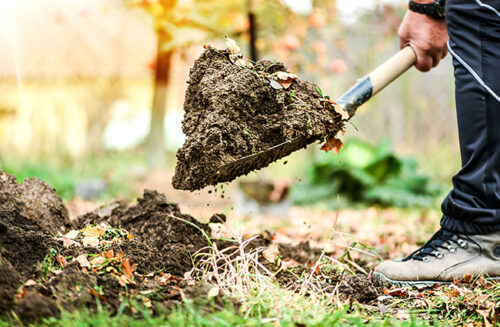 Gardening Australia Magazine May