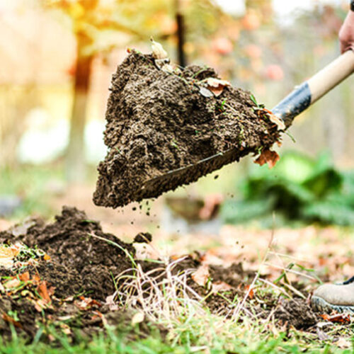 No dig gardening