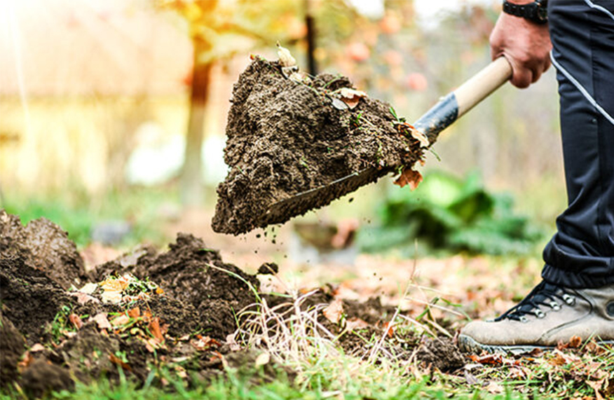 No dig gardening