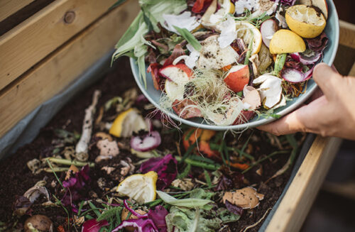 Food scraps going to into a compost bin June issue Gardening Australia magazine