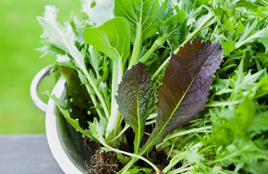Asian greens