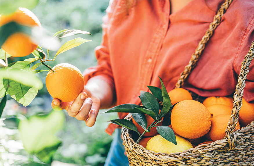 Citrus with a twist