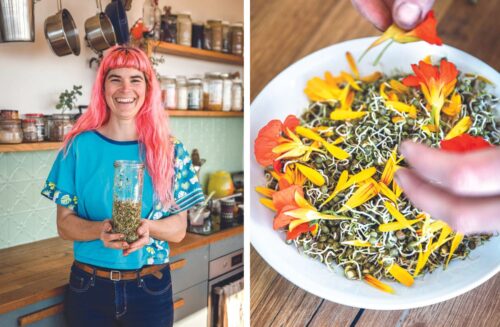 Growing sprouts Gardening Australia magazine