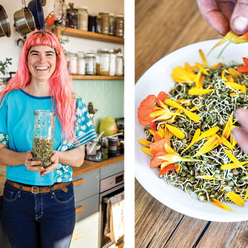 How to grow sprouts Growing sprouts Gardening Australia magazine