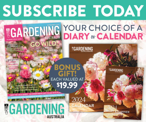 Subscription offer September