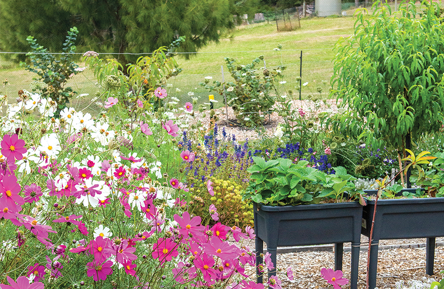 A peaceful nook Tasmanian garden