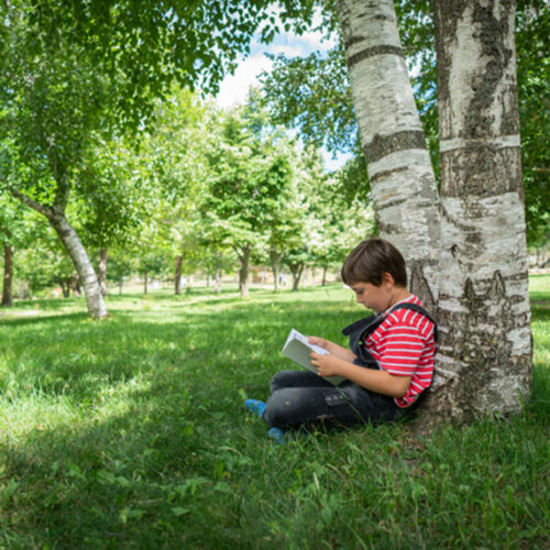 Children’s books on nature Child reading