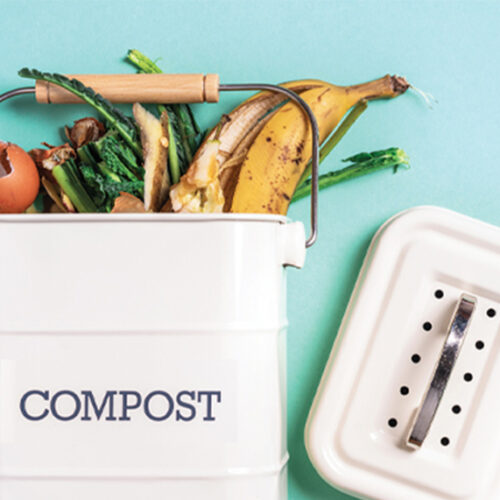Peeling back the truth on bananas Compost banana peels