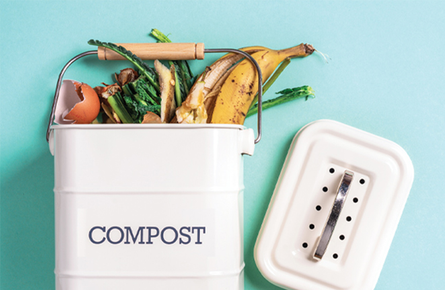 Compost banana peels