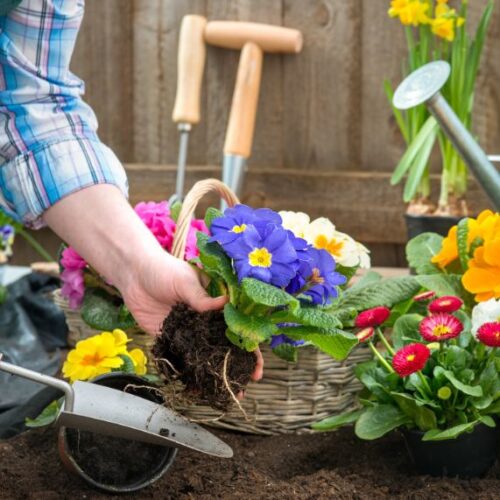 Oh happy days Gardening happiness