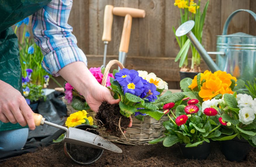 Gardening happiness
