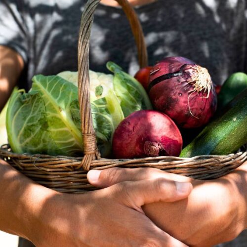 Books on sustainable gardening Vegetable harvest