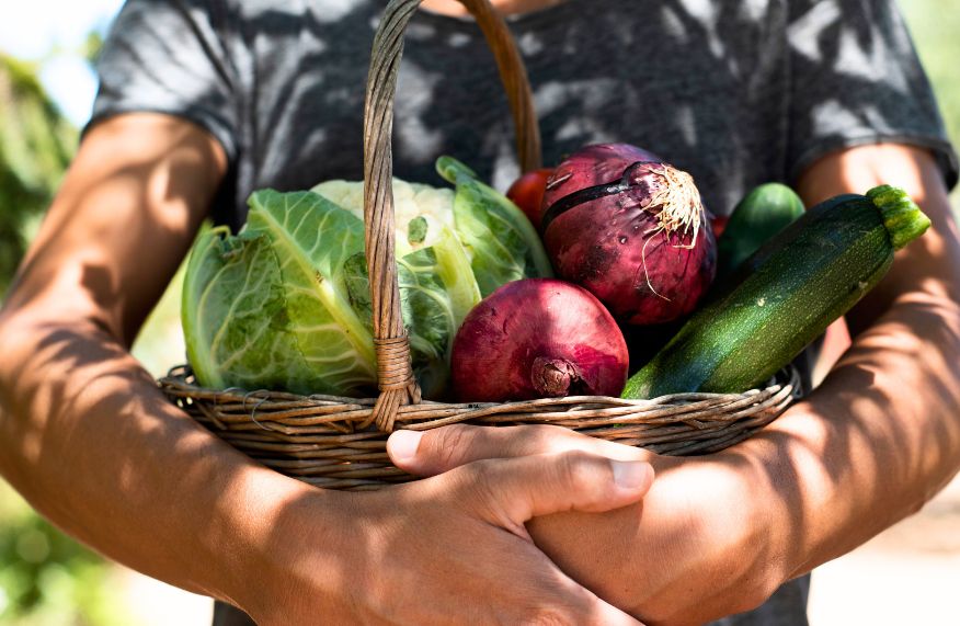 Vegetable harvest