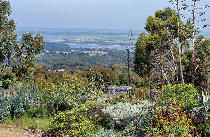 South Australian garden