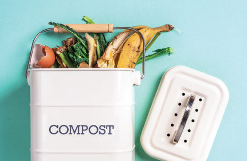Composting bananas. October issue Gardening Australia magazine