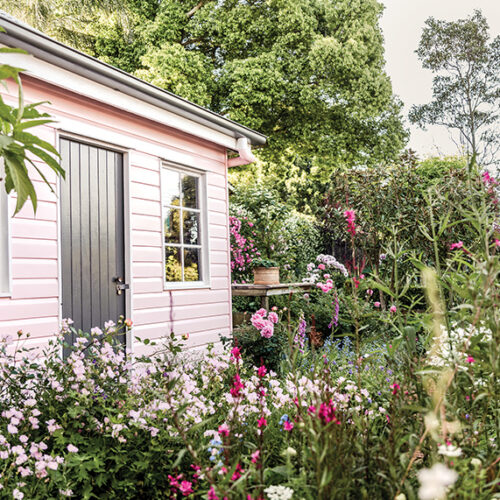 Pretty in pink Toowoomba cottage garden