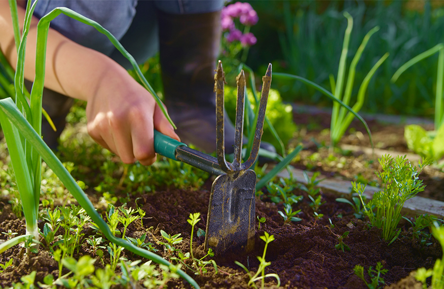 10 jobs to do in the garden in April 
