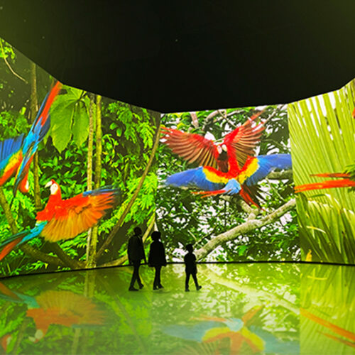 BBC Earth Experience BBC Earth Experience