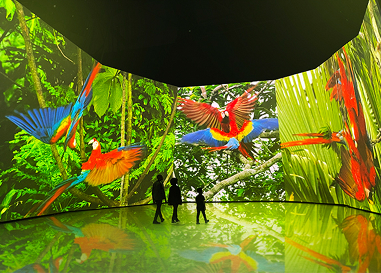 BBC Earth Experience