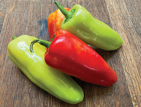 Capsicum 'Cubanelle'