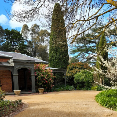 Clontarf Open Garden Clontarf
