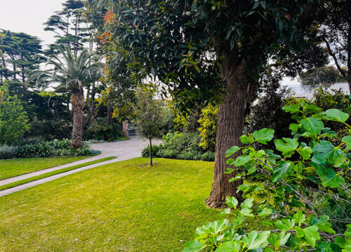 Creeting Lodge garden