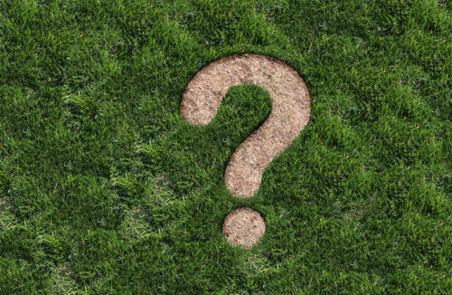 Frequently asked questions