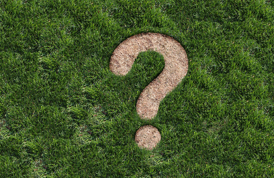 Frequently asked questions