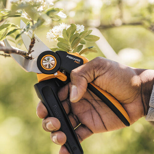 The importance of pruning Fiskars tools