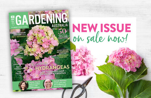 November issue Gardening Australia magazine