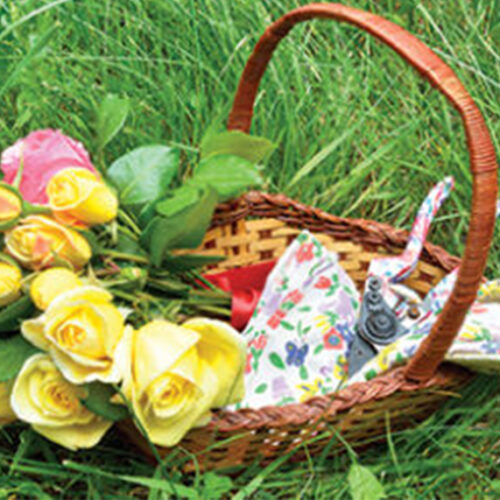 10 gardening jobs to do in November 10 gardening jobs to do in November