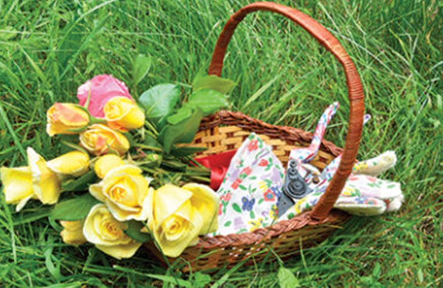 10 gardening jobs to do in November