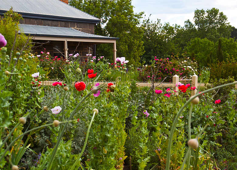 Melrose garden