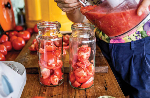 Preserving tomatoes