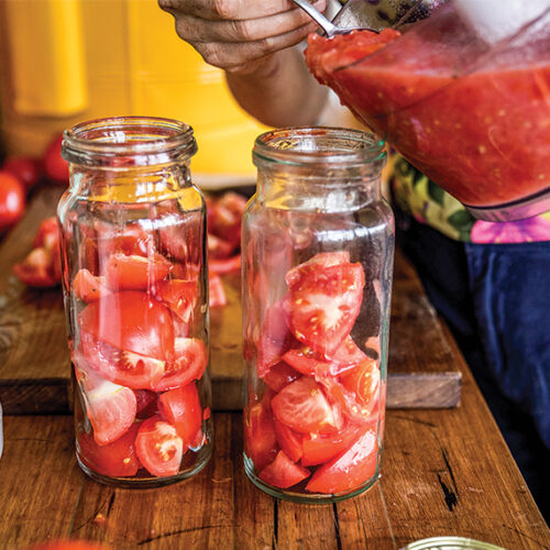 Preserving tomatoes from the garden Preserving tomatoes