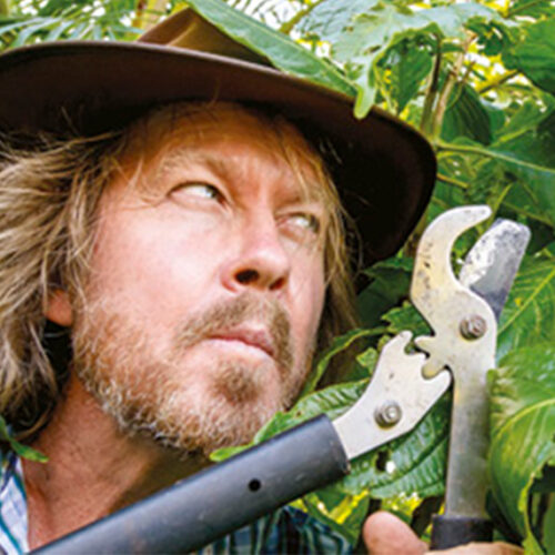 Garden sins and misdemeanours Garden sins and misdemeanours