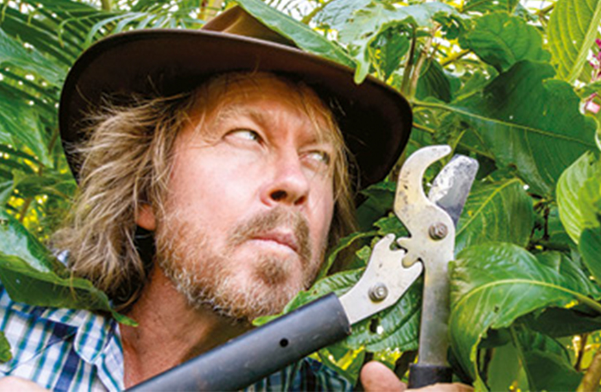 Garden sins and misdemeanours