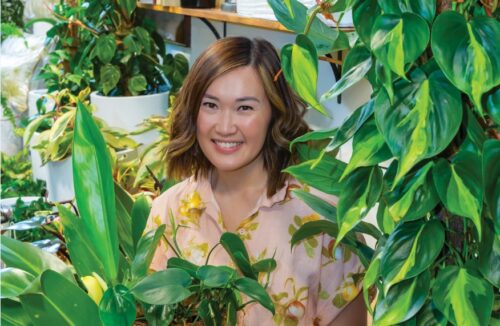 Tammy philodrendrons