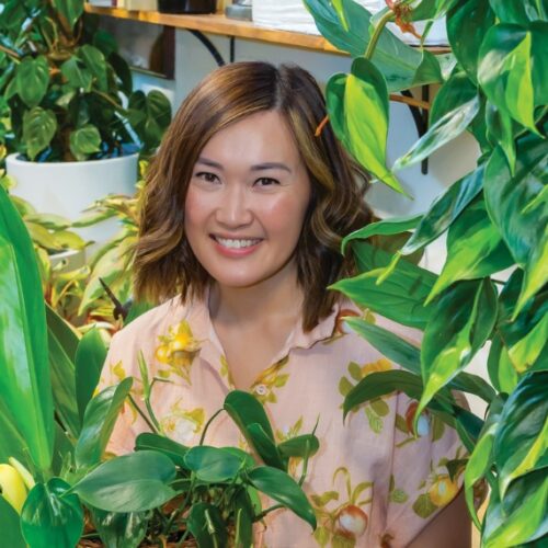 Buying indoor plants Tammy philodrendrons