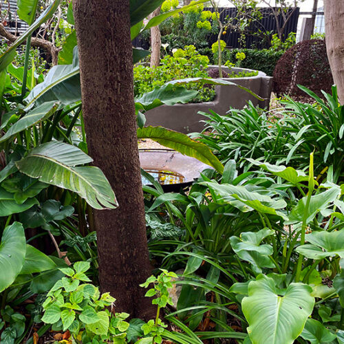 Lee Adams Garden Lee Adams Garden
