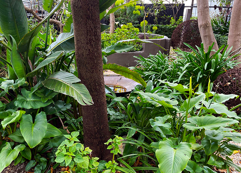Lee Adams Garden